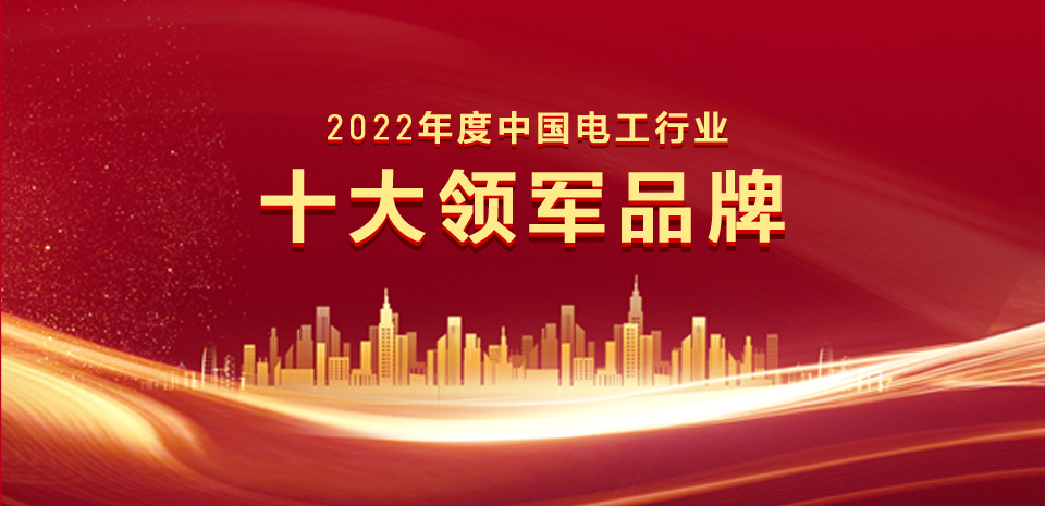 實至名歸！羅格朗榮獲2022中國(guó)電(diàn)工(gōng)行(xíng)業(yè)十大(dà)領軍品牌等三項大(dà)獎