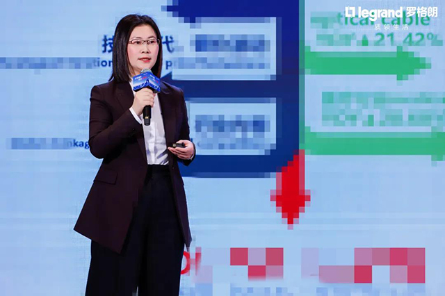 ▲DI銷售副總裁劉睿