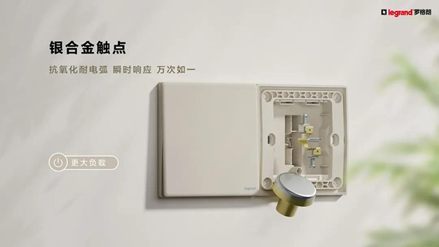 銀(yín)合金(jīn)觸點